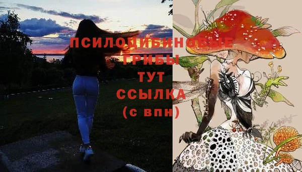 амф Арсеньев