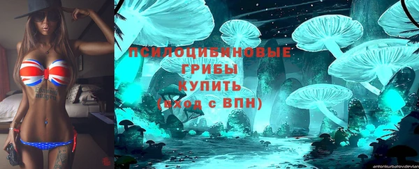МДПВ Аркадак