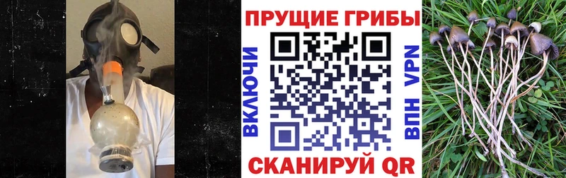 Псилоцибиновые грибы ЛСД  купить   Ряжск 